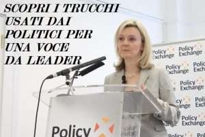Elezioni europee, voce candidati