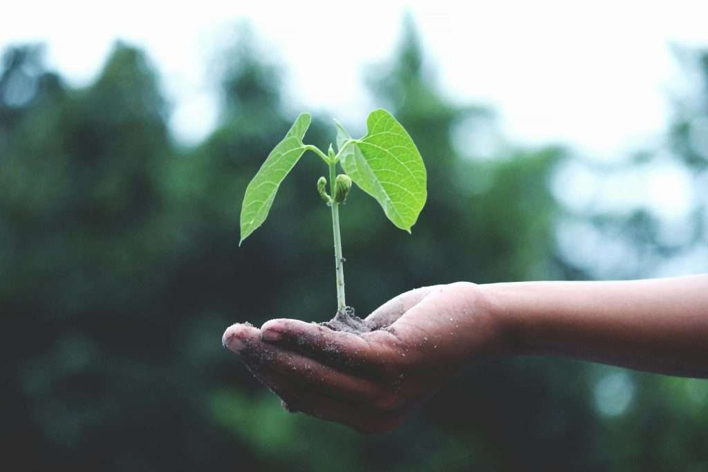 voce e crescita personale